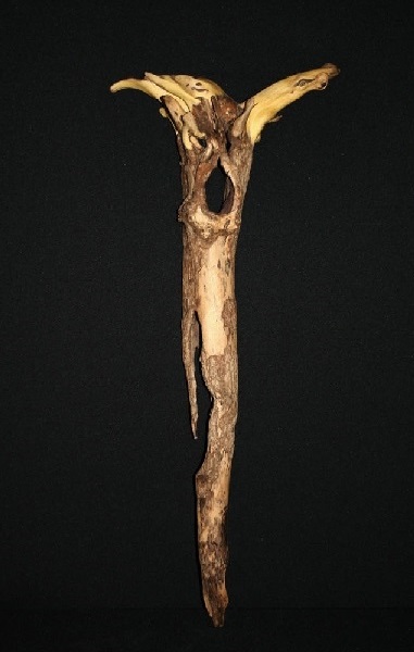 Gelbgehörnter (In Memoree of Hiddensee VIII)
